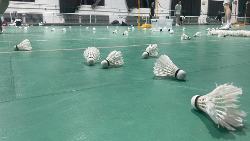 A 40 price hike for badminton shuttlecocks in China is linked to the lower cost of pork. What s the deal CNA